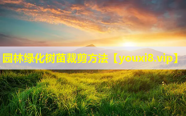 园林绿化树苗裁剪方法