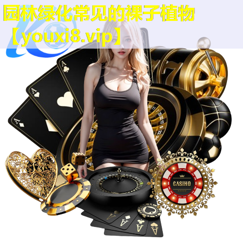 园林绿化常见的裸子植物