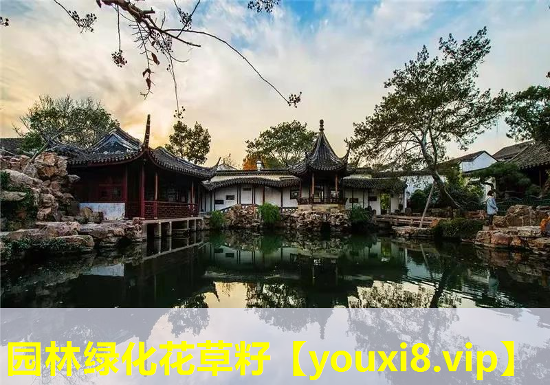 园林绿化花草籽