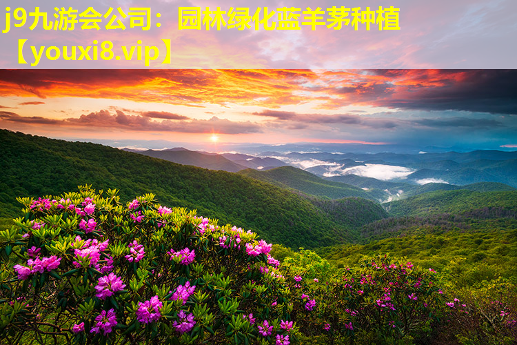 j9九游会公司：园林绿化蓝羊茅种植