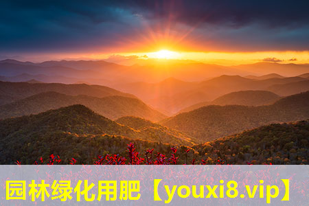 园林绿化用肥