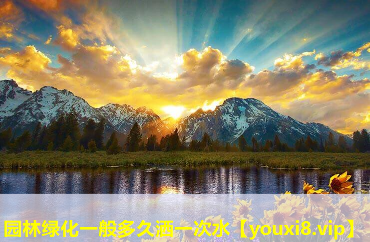 园林绿化一般多久洒一次水