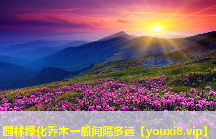 园林绿化乔木一般间隔多远