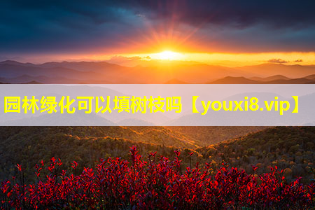 园林绿化可以填树枝吗