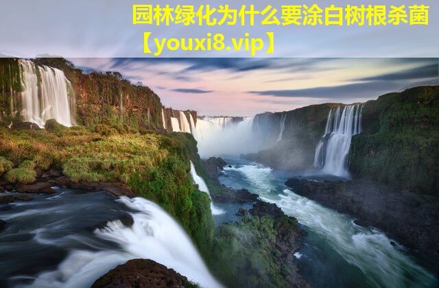 园林绿化为什么要涂白树根杀菌