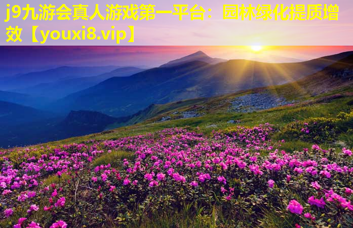 j9九游会真人游戏第一平台：园林绿化提质增效