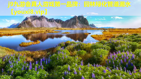 j9九游会真人游戏第一品牌：园林绿化管道漏水