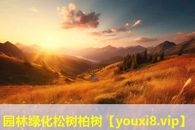 园林绿化松树柏树