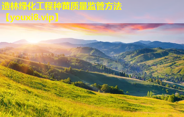 造林绿化工程种苗质量监管方法