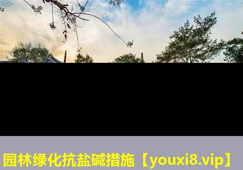 园林绿化抗盐碱措施