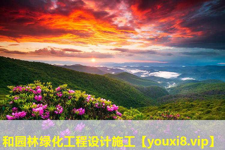 和园林绿化工程设计施工