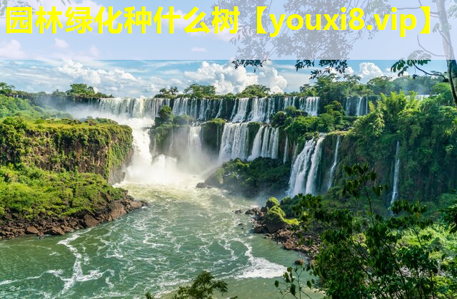 园林绿化种什么树