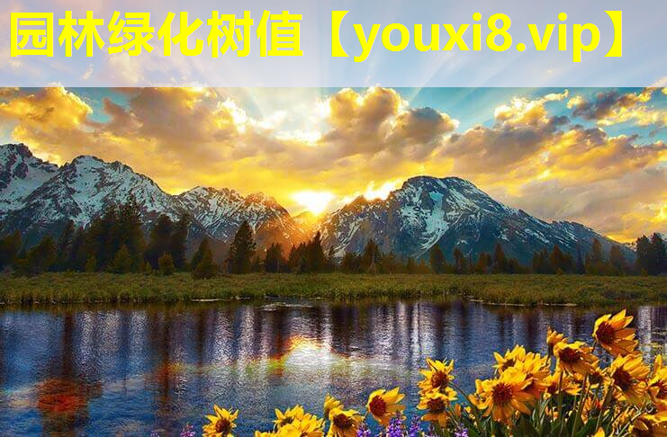园林绿化树值
