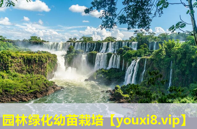 园林绿化幼苗栽培