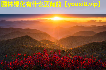 园林绿化有什么要问的