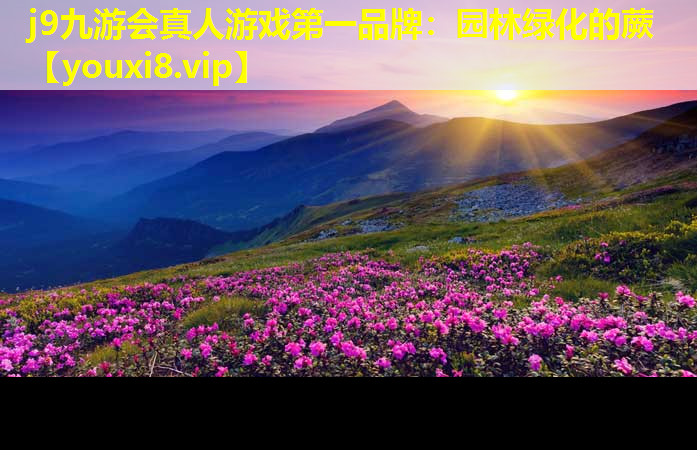 j9九游会真人游戏第一品牌：园林绿化的蕨