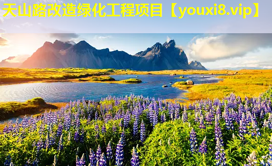 天山路改造绿化工程项目