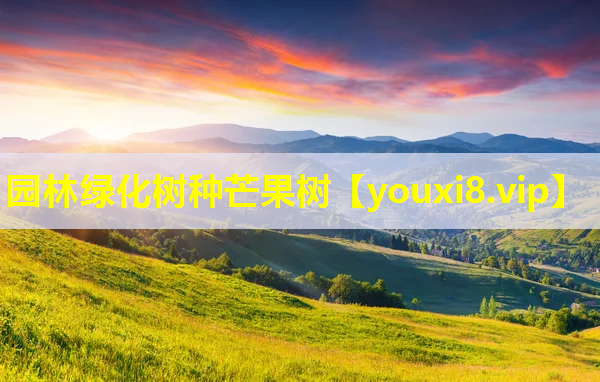 园林绿化树种芒果树