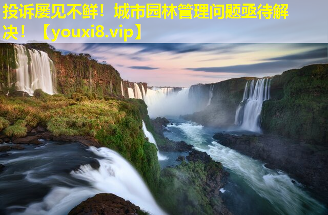 投诉屡见不鲜！城市园林管理问题亟待解决！