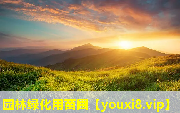 园林绿化用苗圃