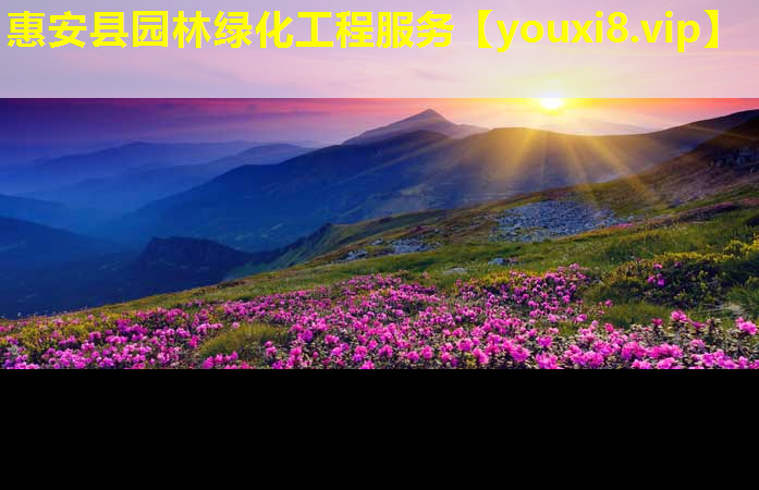 惠安县园林绿化工程服务