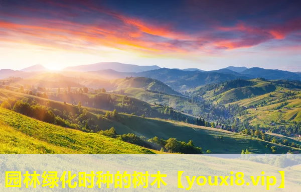 园林绿化时种的树木
