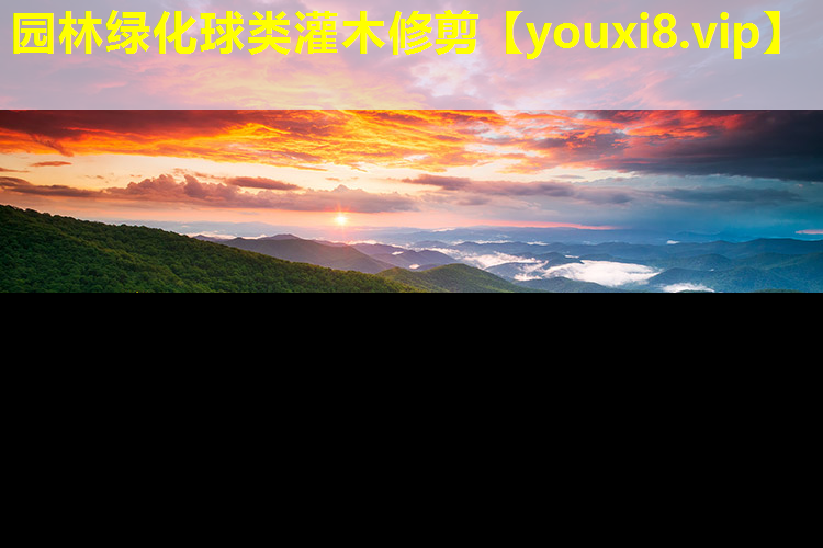 园林绿化球类灌木修剪