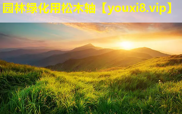 园林绿化用松木轴