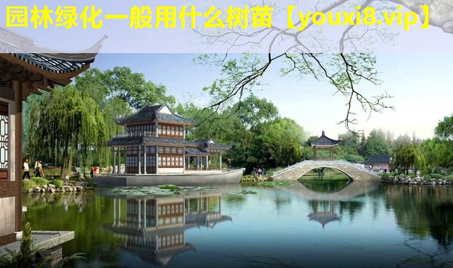 园林绿化一般用什么树苗