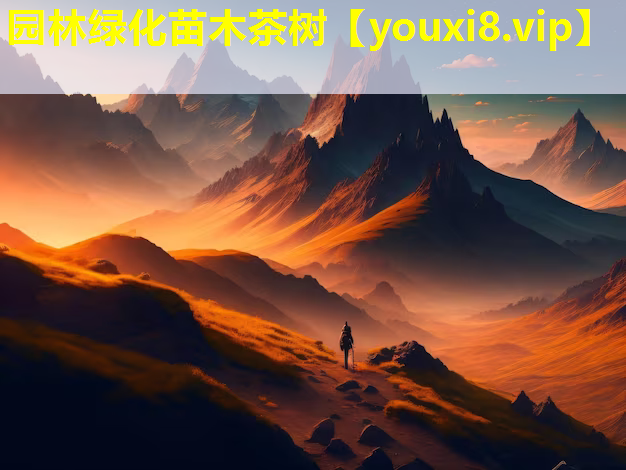 园林绿化苗木茶树