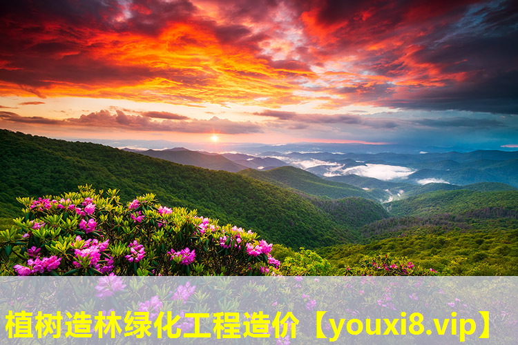 植树造林绿化工程造价
