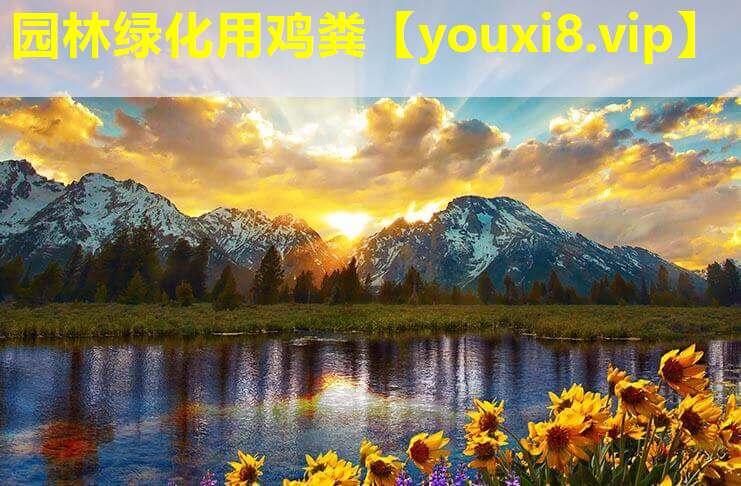 园林绿化用鸡粪