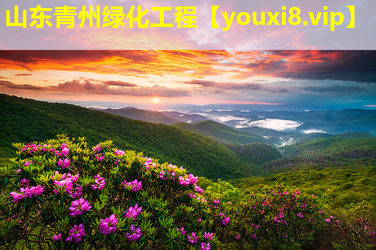 山东青州绿化工程