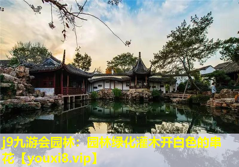 j9九游会园林：园林绿化灌木开白色的串花