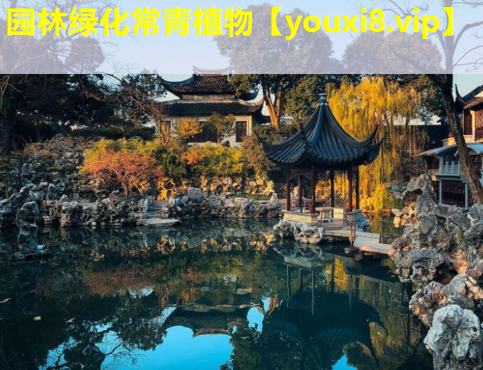 园林绿化常青植物