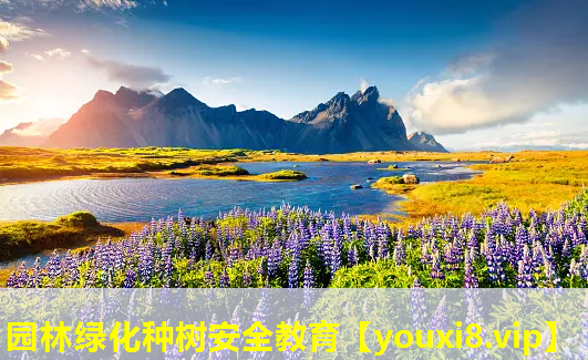 园林绿化种树安全教育