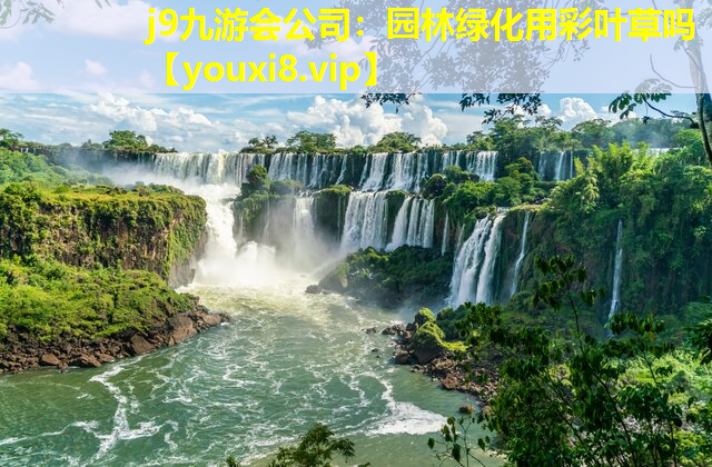 j9九游会公司：园林绿化用彩叶草吗