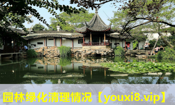 园林绿化清理情况